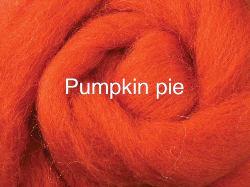 Corriedale sliver 50-100g pumpkin pie colour wool roving